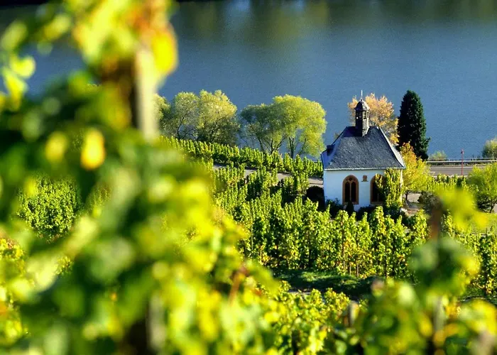 Weingut Christoffel * Kövenig